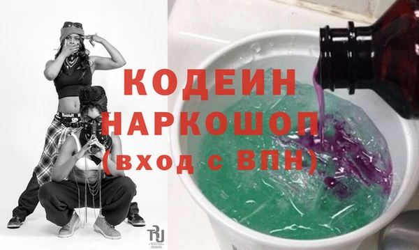 твердый Инта