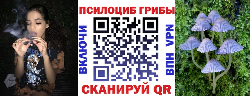 Псилоцибиновые грибы Psilocybine cubensis  Ленинск-Кузнецкий 